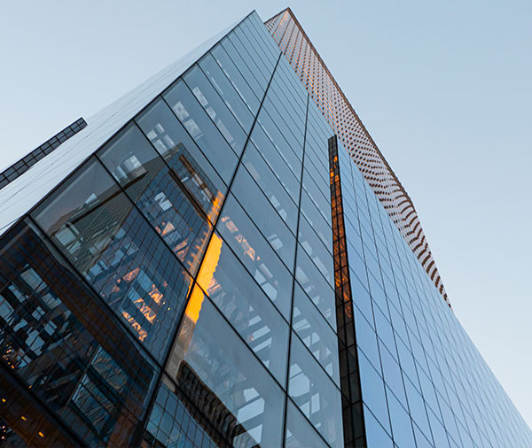 聊城网站建设公司
